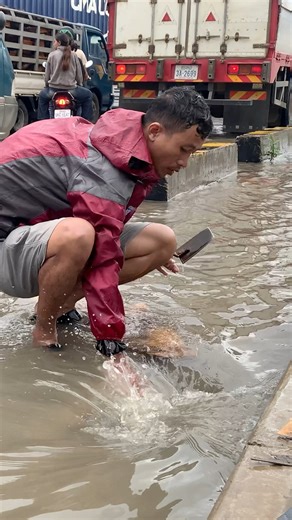 132K views · 2.6K reactions | Saving Drain clogged by garbage After Rain storm flooding on the street #short #unclog #plastic #Remove #cleaning #fblifestyle #drains | Phea Cleaning Culverts | Facebook