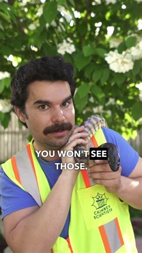 Water Doesn’t Knock. It Breaks In. 💧 | Chimney Scientists