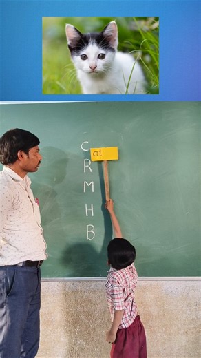 Rhyming words ✨ | Vocabulary building | '_at word family | Teacher Innovation Ideas #vocabulary