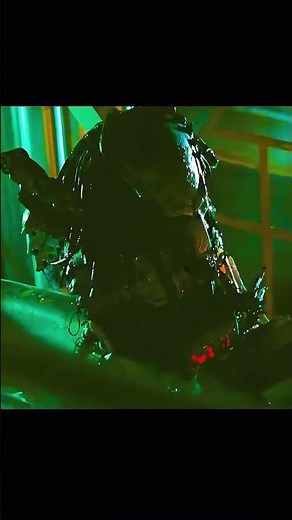Wolf Vs Xenomorfo Alien Vs Predator 2