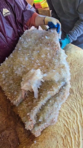 👀Incredible Giant Double Sided Quartz Cluster #shorts #crystals