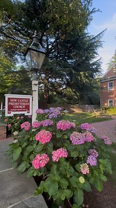 1K views · 2K reactions |  Stepped back in time with a visit to New...