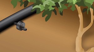 Rain Bird 1/4 in. Barbed Couplings for Drip Tubing (100-Pack) BC25-100