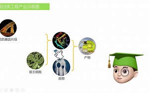 【软件教程】SnapGene快速入门