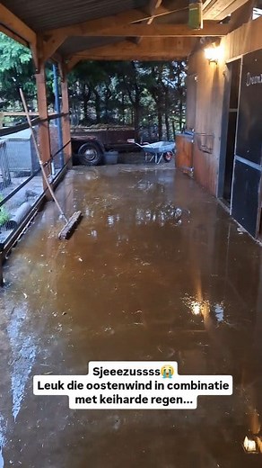 Verder geen woorden voor nodig denk ik... 😭🌧🌪 Na wat berichten te hebben gekregen heb ik nog 2 foto's toegevoegd. Onze paarden kunnen altijd(!!!) naar binnen. Zij hebben 3 stallen van 3 x 3 meter en daarvoor, zoals te zien in het filmpje, een overkapping van 14 x 3 meter. Wij sluiten geen paarden op. Nooit! Zij kunnen gaan en staan waar zij willen. Binnen, onder de overkapping of in de bak. Zoals jullie zien staan sommige dus graag in de regen en een ander het liefst in de stal. De stallen zi