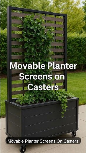 Unusual Privacy Screen Ideas 🌿 Creative Garden Fence & Outdoor Decor Inspiration