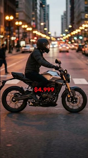 4 BEST Beginner Motorcycles! UNDER $5000!