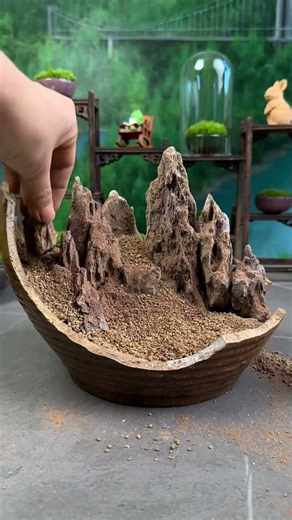 👍Moss Bonsai Moss Micro Landscape bonsai art😊苔藓微景观《nana》 works welcome to subscribe #shorts 变废为宝
