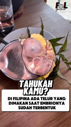berani nyoba makanan aneh ini??#faktamenarik #faktaunik #balut#faktadunia #tahukahkamu