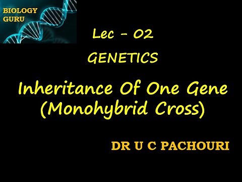 Lec - 2 | INHERITANCE OF ONE GENE | Genetics | Class 12 | Target NEET |NEET 2021 Dr U C PACHOURI
