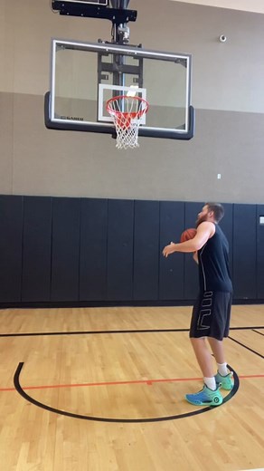 Mr Bearded Dragon on TikTok