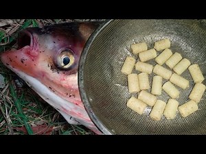 Making technoplankton for catching silver carp. The secret of catchability! Recipe. Detailed, fro...