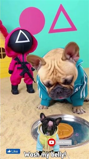 🐕Pibble Must Survive This!🐕 #pibble #squidgame