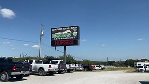 1.2K views · 22 reactions | Roxy’s Kissing Spine Journey pt.1 In...