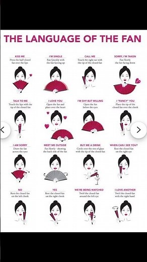 The Language of the Fan -- What It’s Really Saying 😳