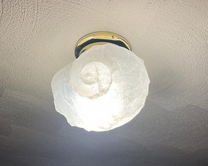 Conch Shell Ceiling Light Cover W/ Bright LED Light - Etsy