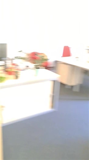 588K views · 10K reactions | Egy napom a tv-ben... Duna Televízió #önökkérték #duna #promóció | Bényi Ildikó | Facebook