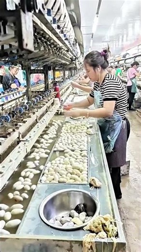 Silk Reeling Workers: Transforming Cocoons into Luxurious Threads#village #lifestyle #craft