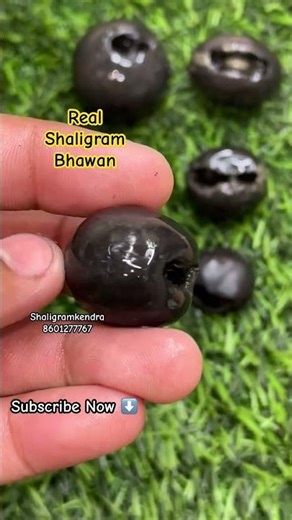 Shaligram Bhagwan ki Ghar Main puja karne se kya hoga #bhakti #negativeenergy #growth #spirituality