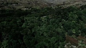 1.2 El color de la magia. La luz fantástica (Miniserie 2008, Reino Unido)