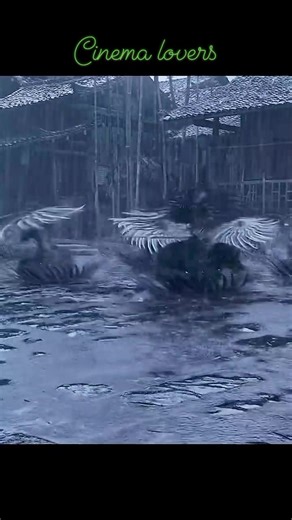 36K views · 137 reactions | Shadow (2018) #CinemaLovers #cinema #movie #movieclips #movietime #moviequotes #cinematography #films #quotes #cinematicvibesonly | Cinema lovers | Facebook