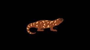 Cartoon Lizard Animation Lizard Emoji Animated Stock Footage Video (100% Royalty-free) 3672025907 | Shutterstock