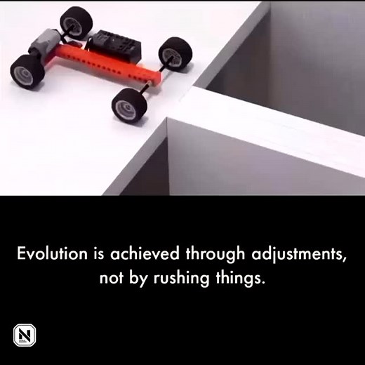 Evolution is the process of gradual change and adaptation over time, shaped by several interconnected mechanisms. Gradualism describes how evolution occurs slowly through incremental changes in populations and their environments over extended periods. Evolutionary adaptation allows organisms to improve their ability to survive and reproduce by inheriting beneficial traits that enhance their structure or habits. Natural selection drives this process by favoring advantageous traits that are passed