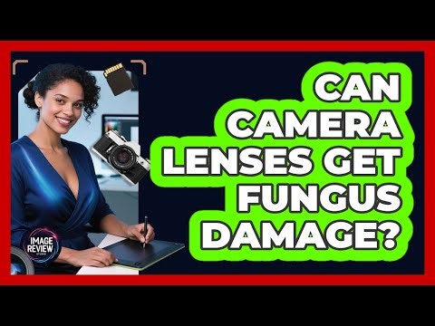 Can Camera Lenses Get Fungus Damage?