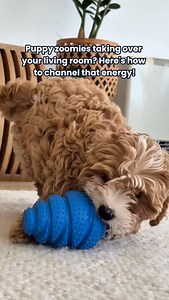 Chew, Treat, Topple, Repeat! The Lexi & Me Treat & Chew Toppler Dog Toy provides hours of mental and physical stimulation, satisfying your dog’s natural chewing instincts while keeping them engaged. Load it with treats and let them work for their reward! ✨ | Petstock | Facebook