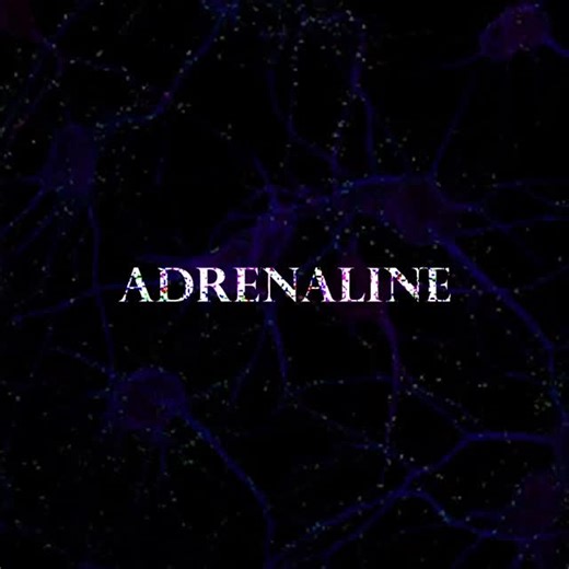 1.6K views · 104 reactions | How adrenaline addiction rewires the brain and drives risky behavior — from constant hypervigilance to a need for control. #Adrenaline #Neuroscience #BrainScience #DarkPsychology #Brain | Vinerable | Facebook