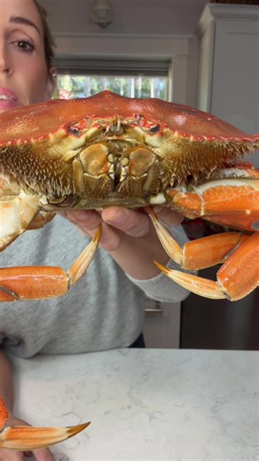 How to Clean Dungeness Crabs and Extract Meat from 9 Crabs