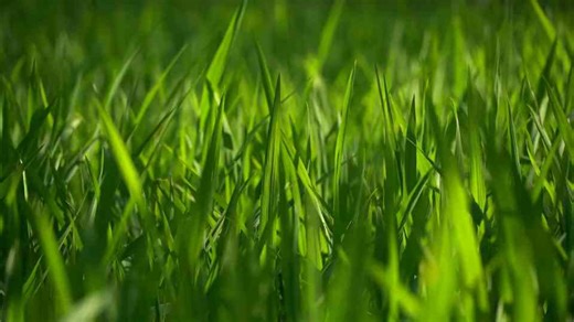 Why Electric Cars Can't Compete: 7 Key Challenges Even with Government Help