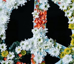 Allison Krause Believed "Flowers Were Better Than Bullets." Kent State Proved Otherwise