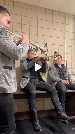 Trumpet Tv on Instagram: "«BANDA 5 CERO» from Mexico, warm up with a theme of "Tom & Jerry" @banda5cero 🎺 • • For more follow @trumpet_tv 🎥 • • • #trumpet #trumpetist #trumpetlife #trumpetsolo #trumpetboy #trumpette #trumpetlove #jazz #trumpettesocks #brass #trumpetawards #trumpetplayers #trombone #trompeta #trumpetsection #trumpetgirl #jazztrumpet #trumpetfish #bach #trumpetswag #brassband #trumpeter #horn #music #trombones #trumpeteer #tuba #trumpetvine #trumpetman"