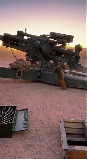 Monkey FIRES a Massive Cannon! 😱 | Crazy Military Moment | Viral Video
