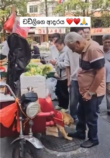 Dudley Sirisena's Love for Animals