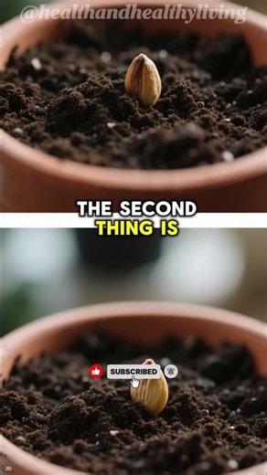 Doctors Are Shocked: The Seed With 8x More Protein Than Eggs