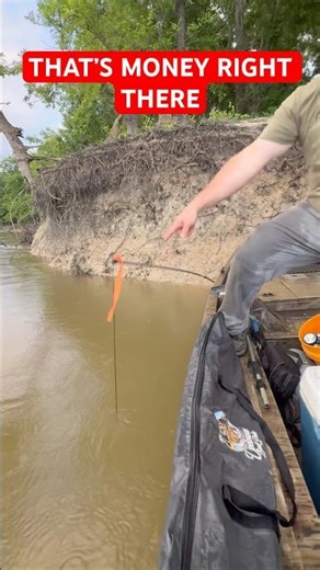 Bank poles are catching #fishing #catfishing #bankpoles #shorts