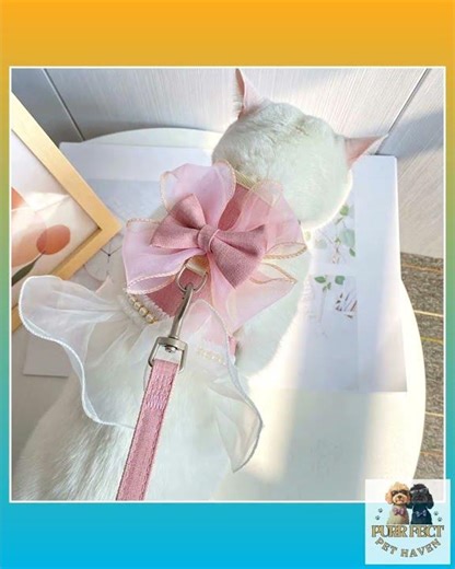 Decorative Bow Ballerina Style Tutu Princess Pet Harness and Matching Leash Set