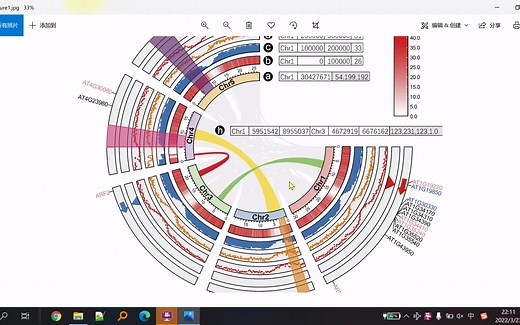 iMeta | 使用TBtools绘制Circos图