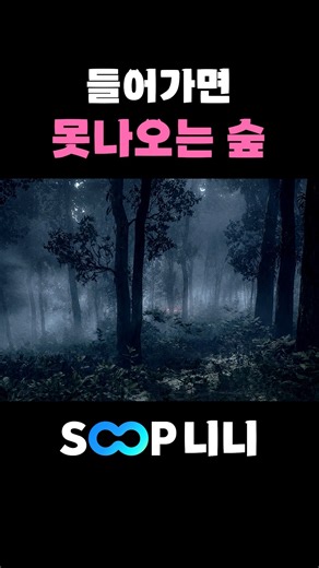 Nini who survived that forest..