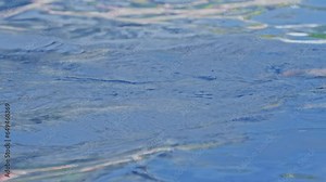 Side view of a professional female swimmer with goggles at the pool. A woman swimmer dives into a pool of water. Close-up, slow motion.
