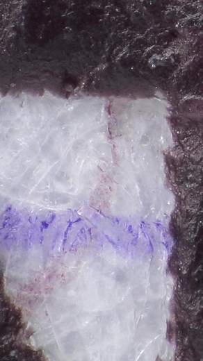 Raised printing under a microscope: 500 Ukrainian Hryvnia banknote. #microscope #macro #zoom