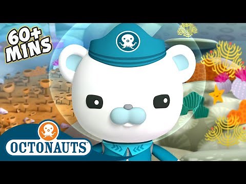 Octonauts - Tropical Adventure! | 60 Mins+ | Cartoons for Kids | Underwater Sea Education
