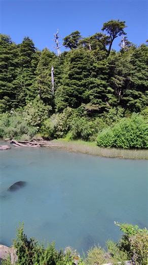 La magia de navegar el lago Nahuel Huapi ⚓ Puerto Blest 💙 Sí, viajar gratis es posible 😍 Solo tenés que seguirnos en Instagram y participa por viajes y estadias 👉 https://www.instagram.com/descubreargentinaok/ | Descubre Argentina