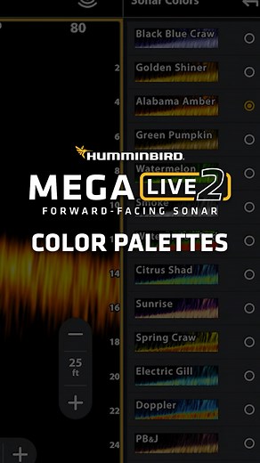 MEGA Live 2 comes with 15 different color palettes to help you in different fishing scenarios, from high-brightness, high-contrast presets for finding fish or single-color options for surveying structure. For those running MEGA Live 2 today, what's your favorite color palette? Let us know 👇 #Humminbird #MEGALive2 | Humminbird