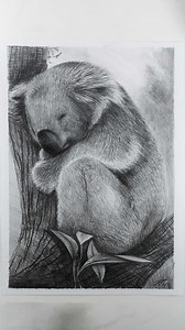 Aprende a DIBUJAR un KOALA 🐨 (NARRADO🎤 - Paso a Paso) Materiales utilizados: Lápiz HB para el boceto y los primeros grises mas claros. Lápiz 8B para los tonos medios y oscuros. Hoja Canson de 200 gr. Medida 35x25 cm. Goma de borrar. Sacapuntas. Cinta adhesiva (para que la hoja no se rompa al quitarla, antes de pegarla en la hoja, pegala y despegala de tu ropa unas 2 o 3 veces. Eso le quita mas pegamento y no daña la hoja. Aprende muchísimo más, con mi CURSO DE DIBUJO ONLINE PARA PRINCIPIANTES!