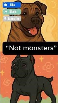 Presa Canario vs Cane Corso: Are These Dogs Really Monsters?