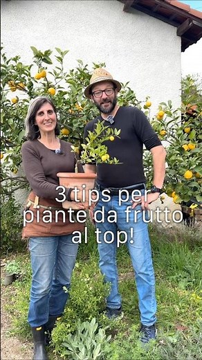 PIANTE DA FRUTTO: 3 consigli importanti con ‪@SimonettaChiarugi‬