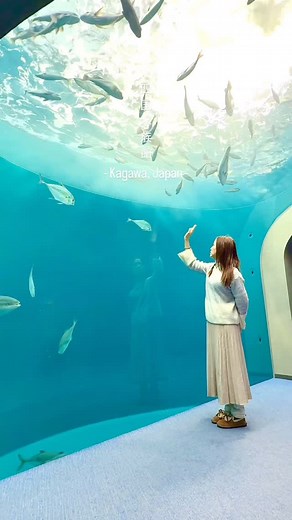 Celine 🎀 在旅行·路上 ✈️ | 四國最美水族館🐬 - #日本 #香川 來四國打卡必去景點🐋 這裡有超過70個超美水景，帶你走進水和生命的奇幻故事，四國被太平洋和瀨戶內海包圍，孕育了超多超酷的海洋生物，絕對是來四國必收藏景點🩷 票價資訊🎫： ✅成人（高中生、16歲以上）：2400日圓... | Instagram
